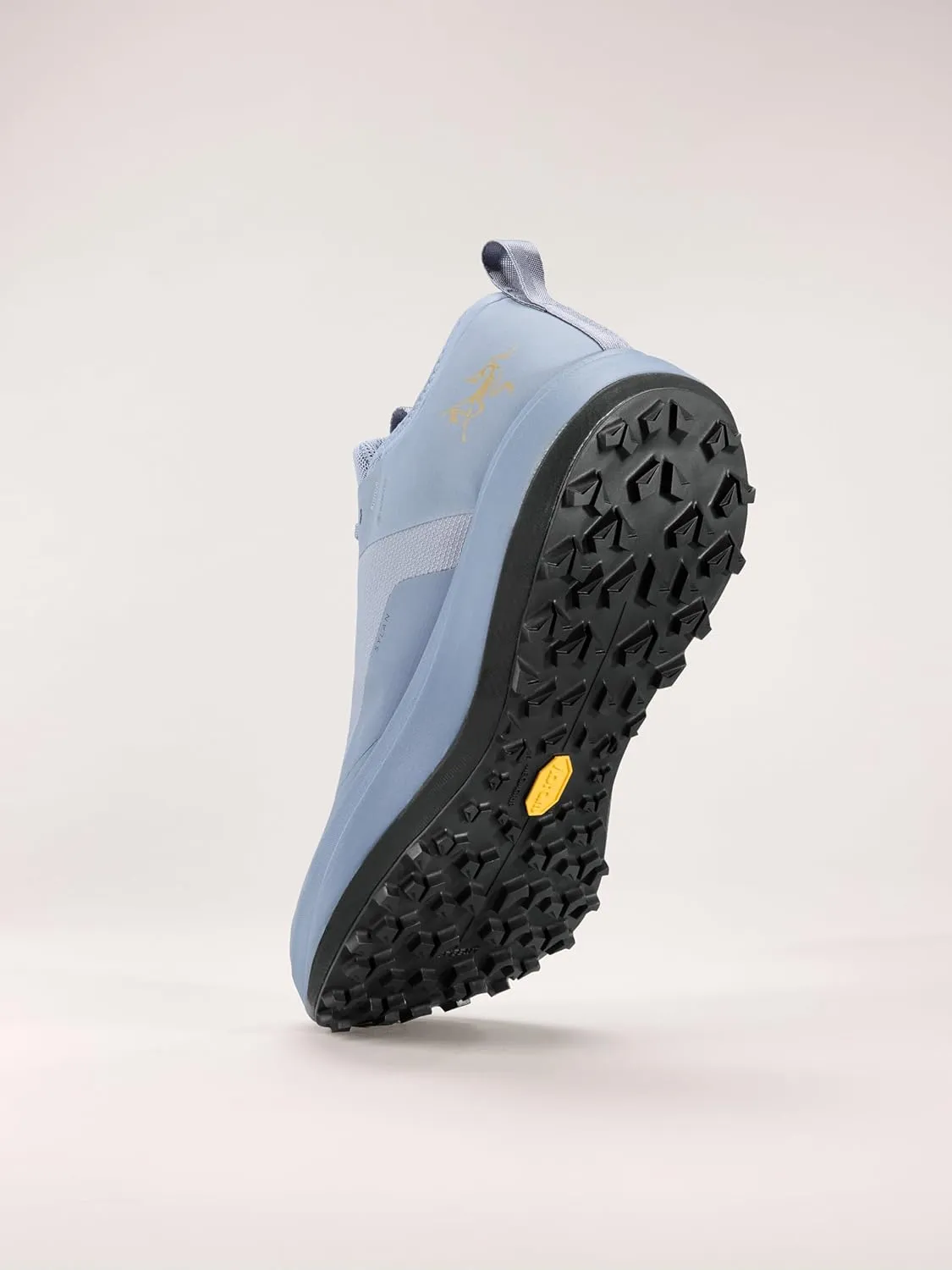 Arc'teryx Sylan GTX Men's Running Shoes | Waterproof and Breathable Gore-Tex Trail Shoe with Rocker Midsole for Speed