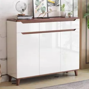 ARTEMAS Modern Shoe Cabinet