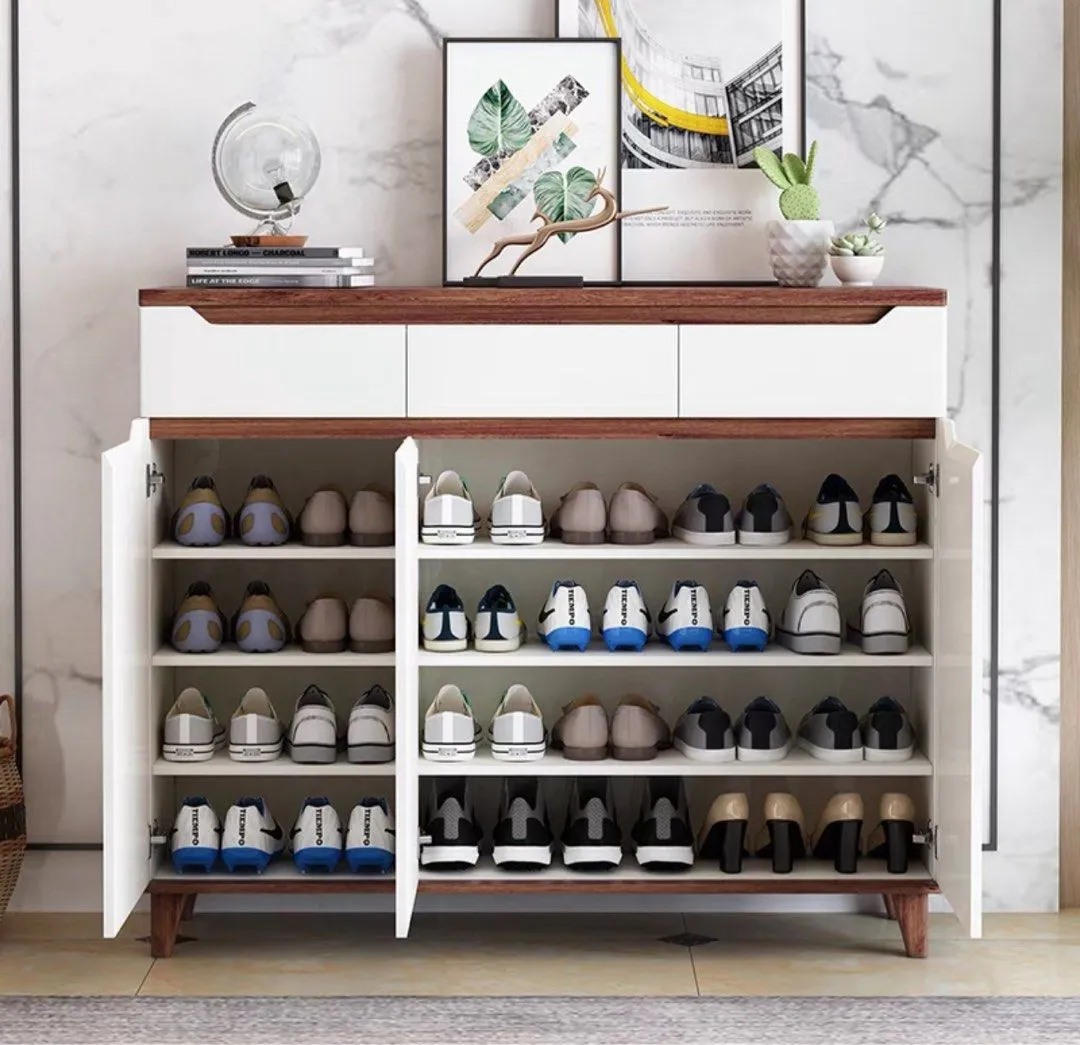 ARTEMAS Modern Shoe Cabinet