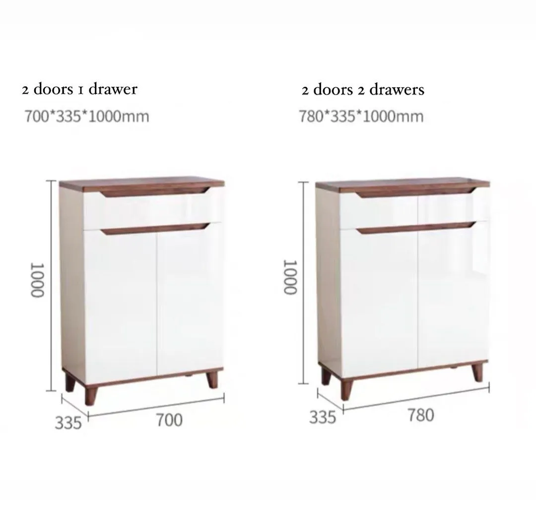 ARTEMAS Modern Shoe Cabinet