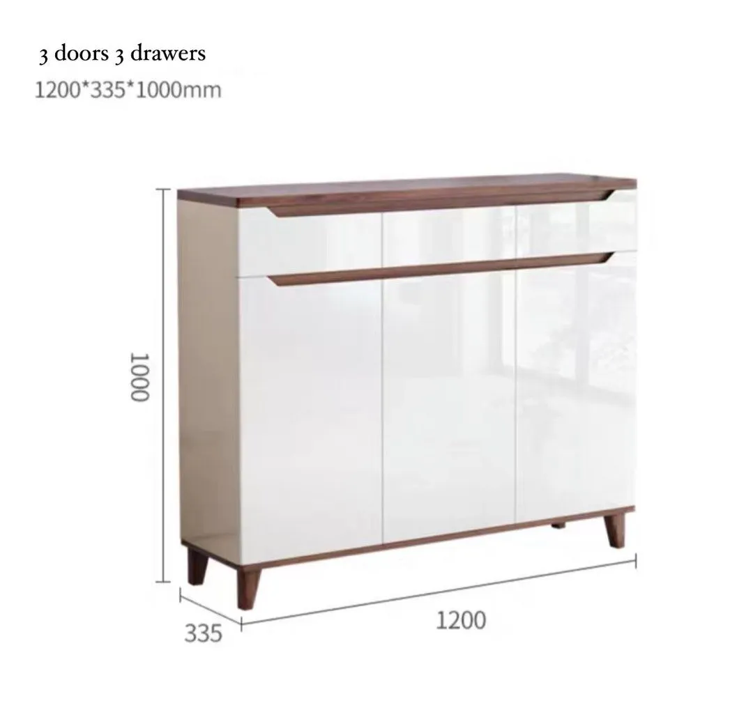 ARTEMAS Modern Shoe Cabinet