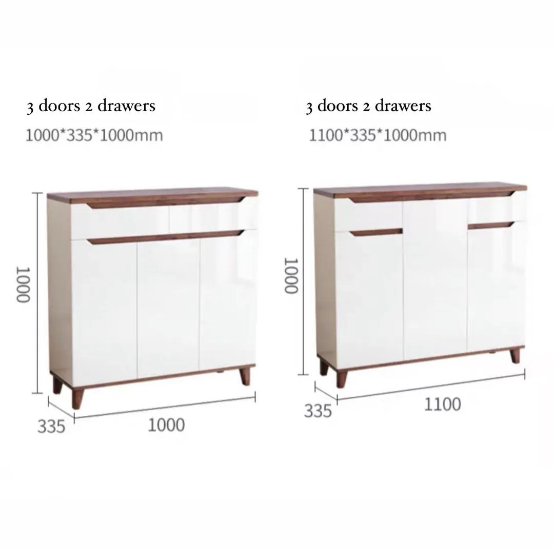 ARTEMAS Modern Shoe Cabinet
