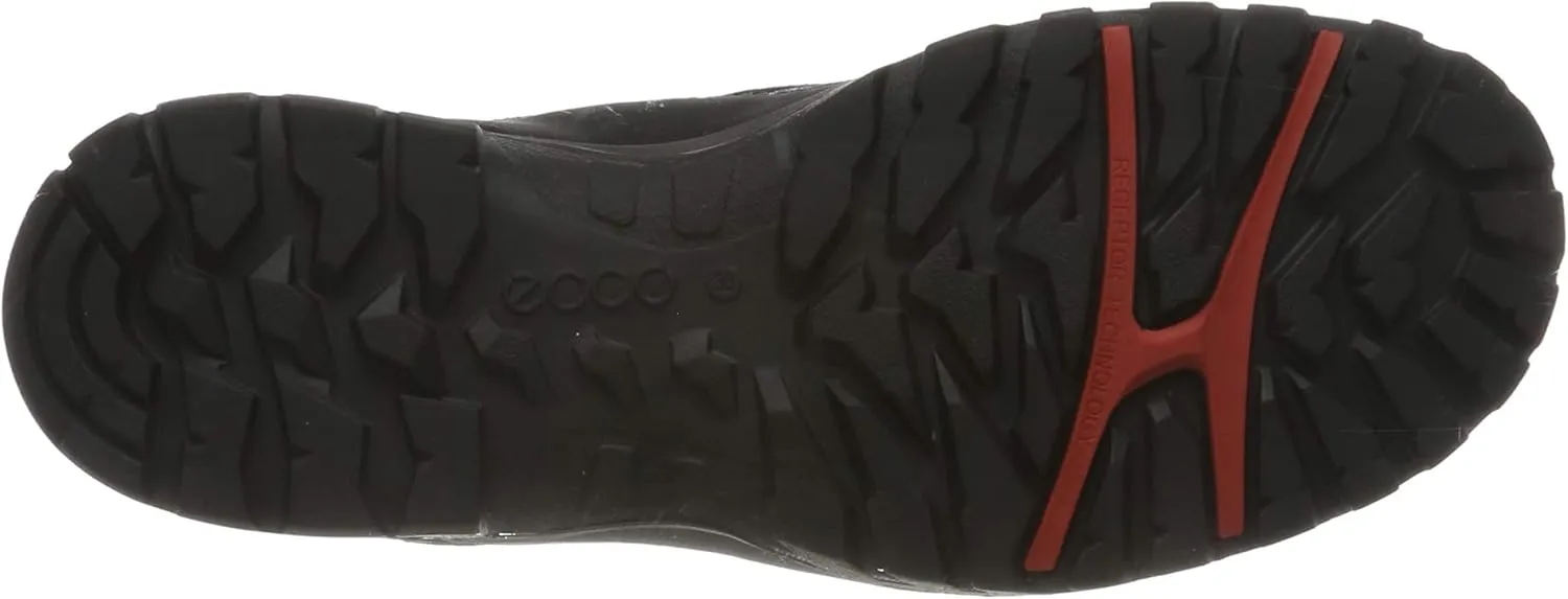 ECCO Women's High Rise Hiking Shoes Low