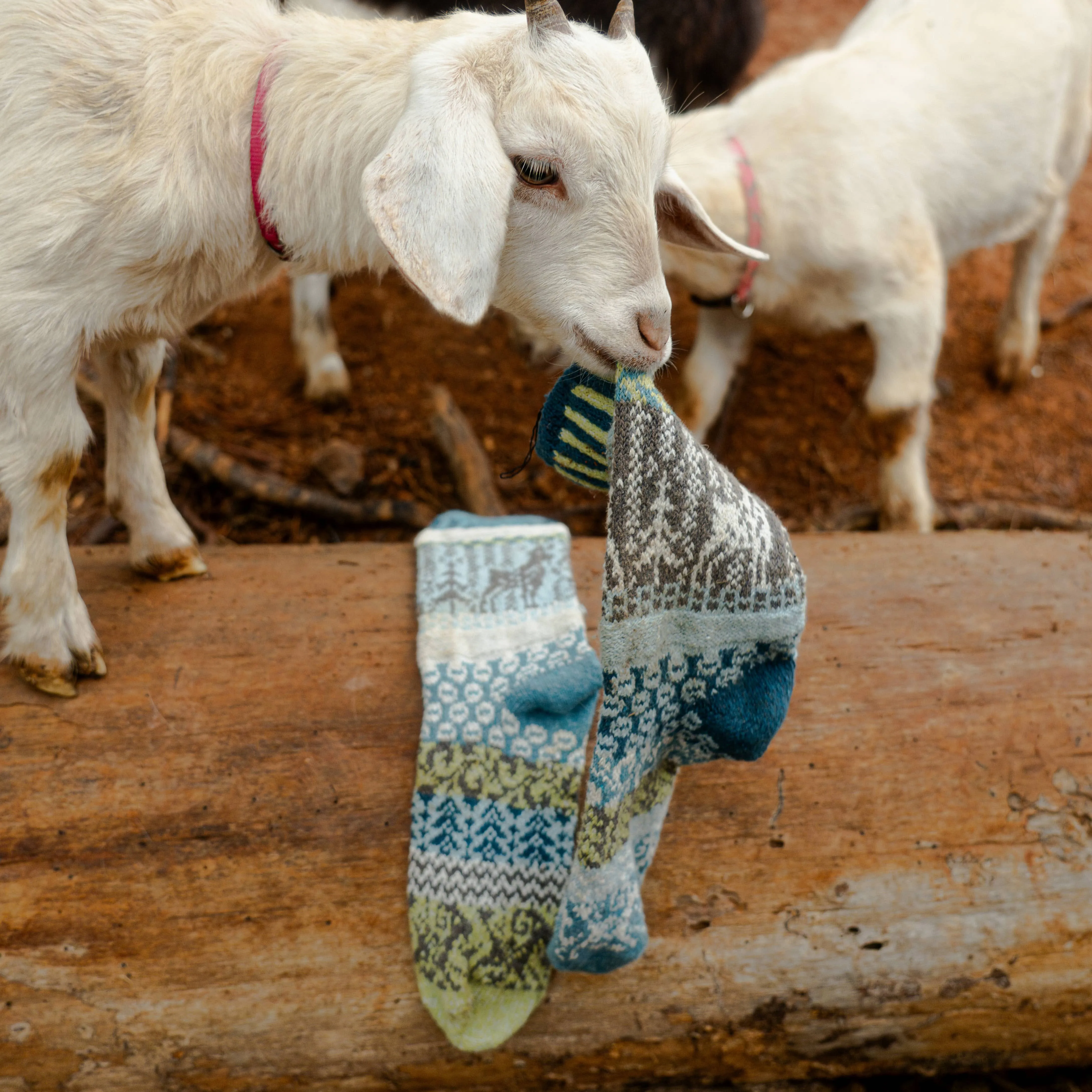 Goat Crew Sock | Socks That Give Back to National Parks
