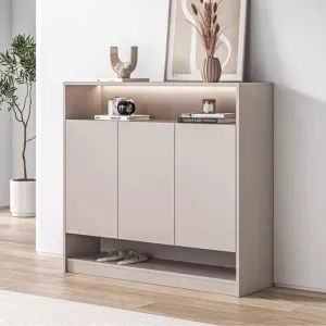 HEDEN Minimalist Shoe Cabinet