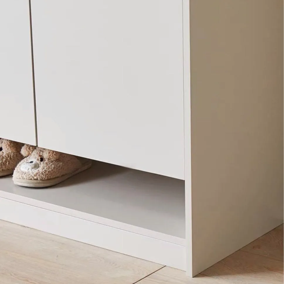 HEDEN Minimalist Shoe Cabinet