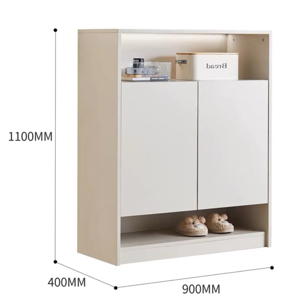 HEDEN Minimalist Shoe Cabinet