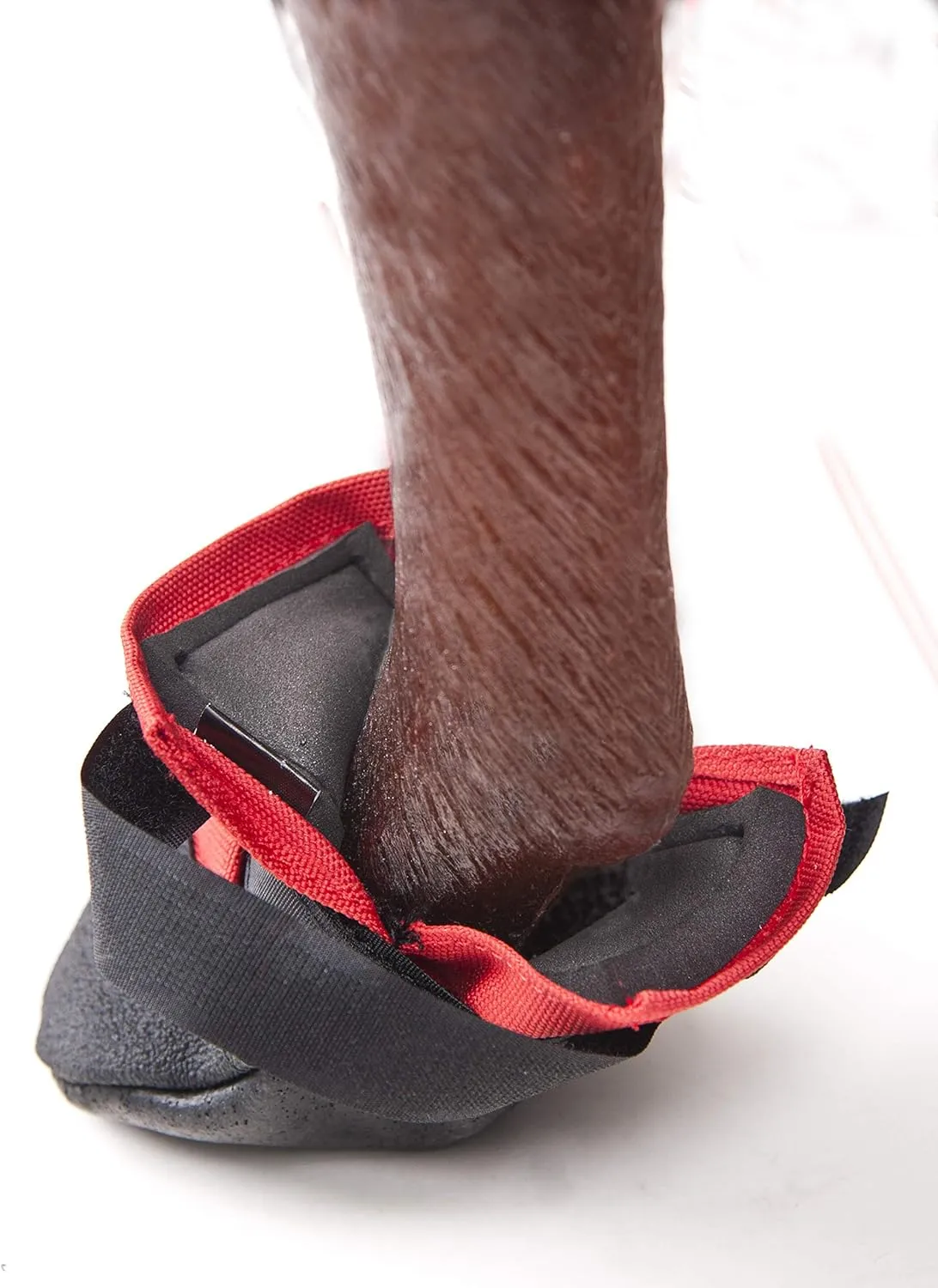 Rugged Dog Boots and Paw Protectors for Small, Medium and Large Dogs Red (Size 8)