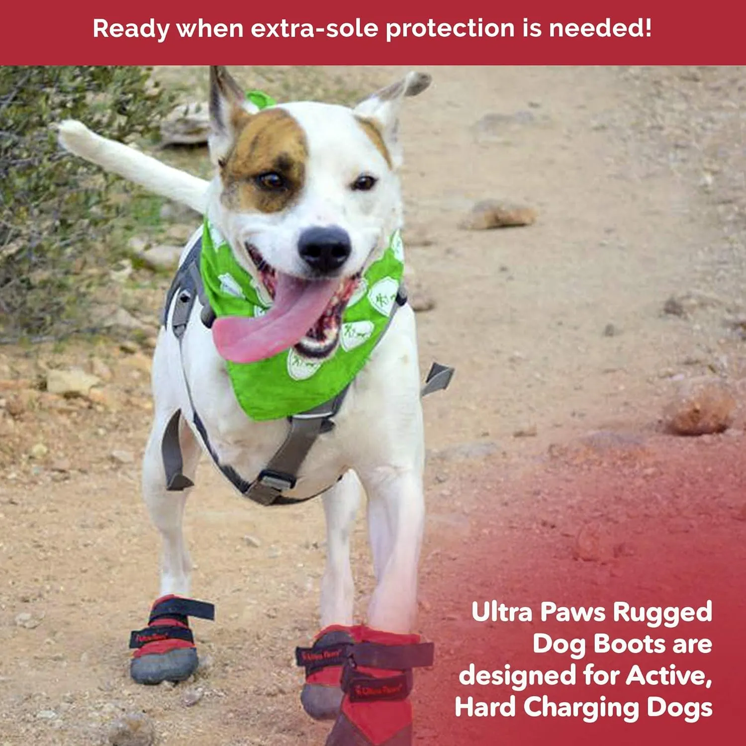Rugged Dog Boots and Paw Protectors for Small, Medium and Large Dogs Red (Size 8)