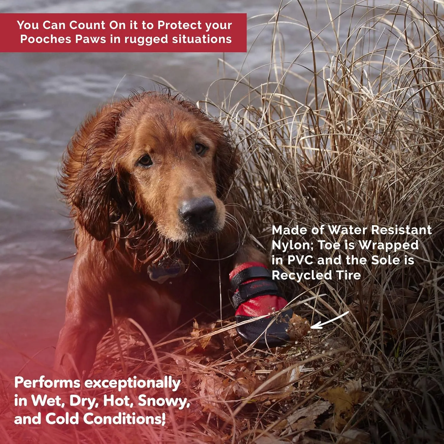 Rugged Dog Boots and Paw Protectors for Small, Medium and Large Dogs Red (Size 8)