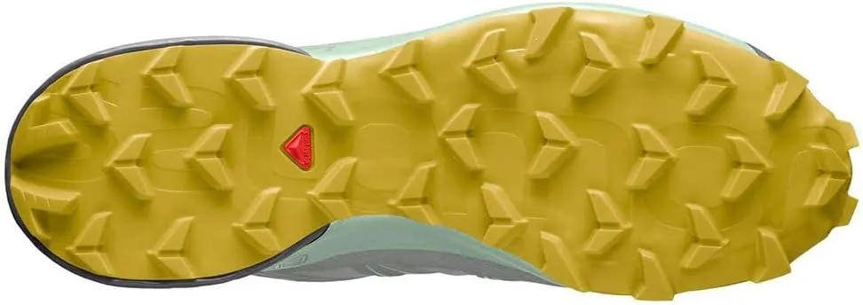 Salomon Women's Speedcross 5 Gore-Tex Trail Running Shoe