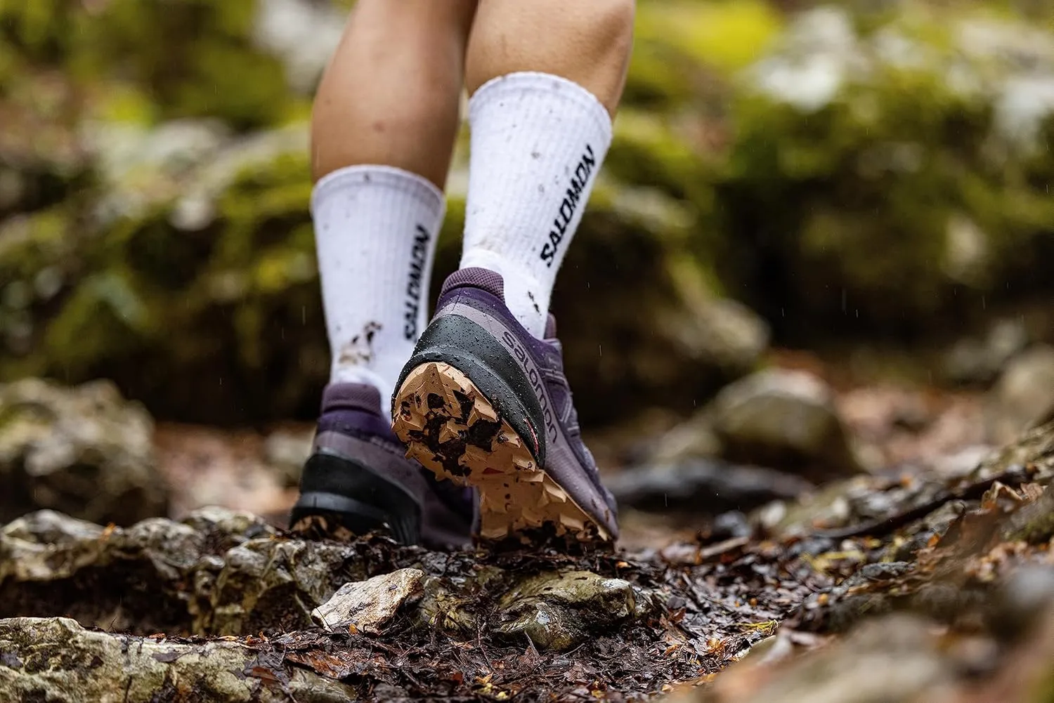 Salomon Women's Speedcross 5 Gore-Tex Trail Running Shoe