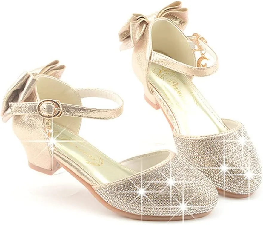 Toddler/Little/Big Girls Dress Shoes Mary Jane Flower Girl Low Heels Shoes for Wedding Party 5501