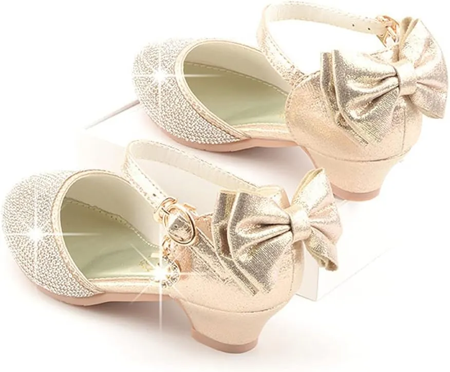 Toddler/Little/Big Girls Dress Shoes Mary Jane Flower Girl Low Heels Shoes for Wedding Party 5501